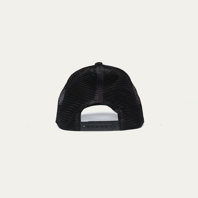 Black / Gold