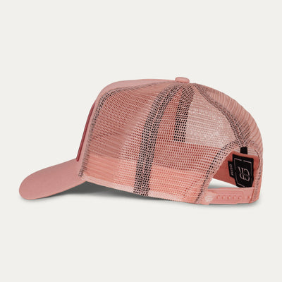 Dusk / Pink